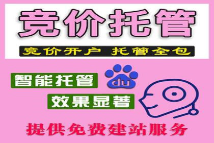 案例分析：百度广告竞价助力电商企业提升销售额