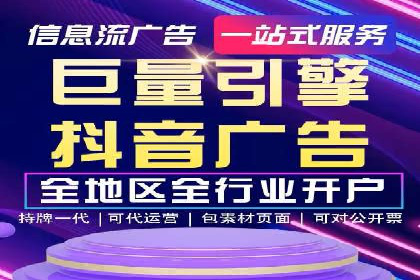 某某SEM团队成功案例：广告投放策略揭秘
